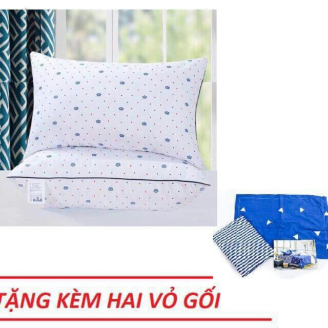 Đôi ruột gối hilton pillows tặng kèm vỏ gối