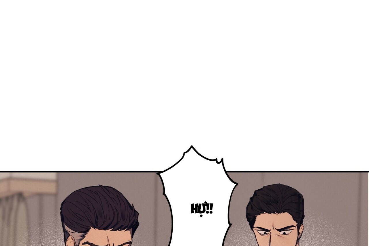 chàng dâu nhà họ kang chapter 1 24