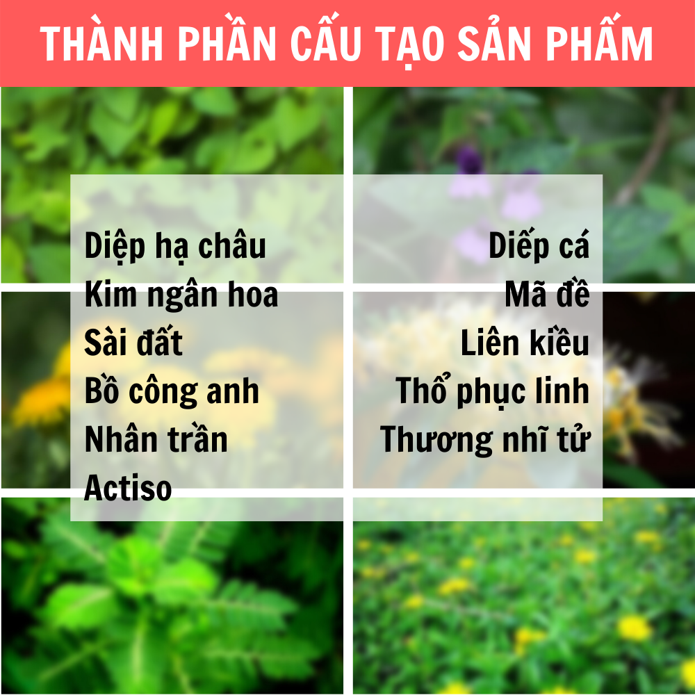 DETOXIFY - Giúp thanh nhiệt, tiêu độc, mát gan, Hỗ trợ làm giảm các triệu chứng : dị ứng, mẩn ngứa, nổi mề đay,mụn nhọt, rôm sảy, nhiệt miệng, nhiệt lưỡi