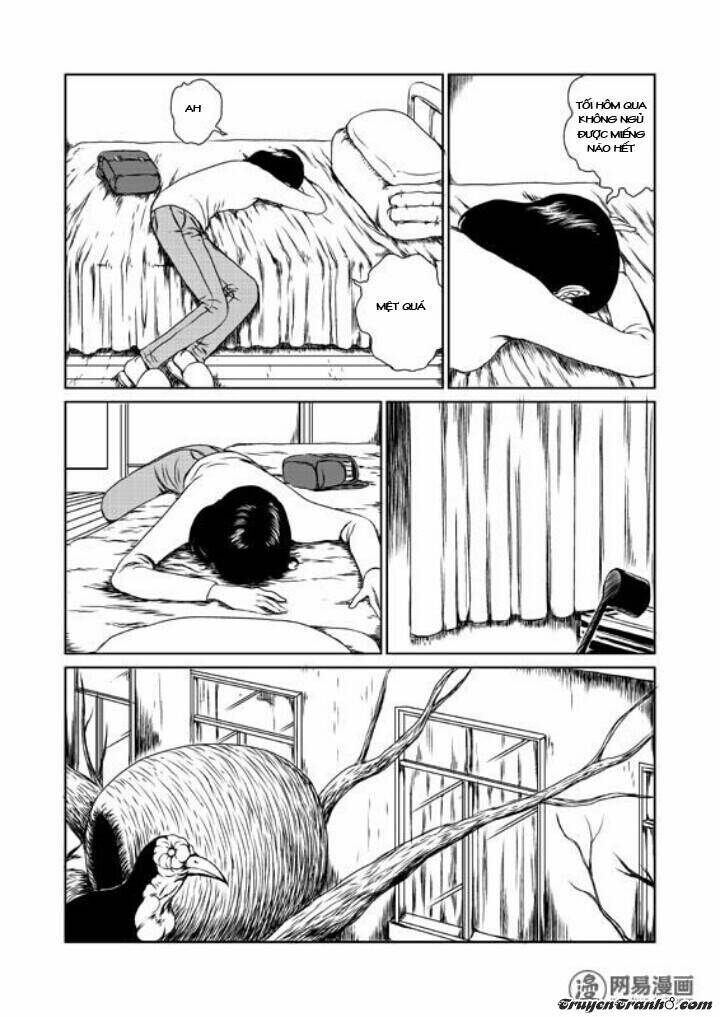 tổ chim chapter 1 17