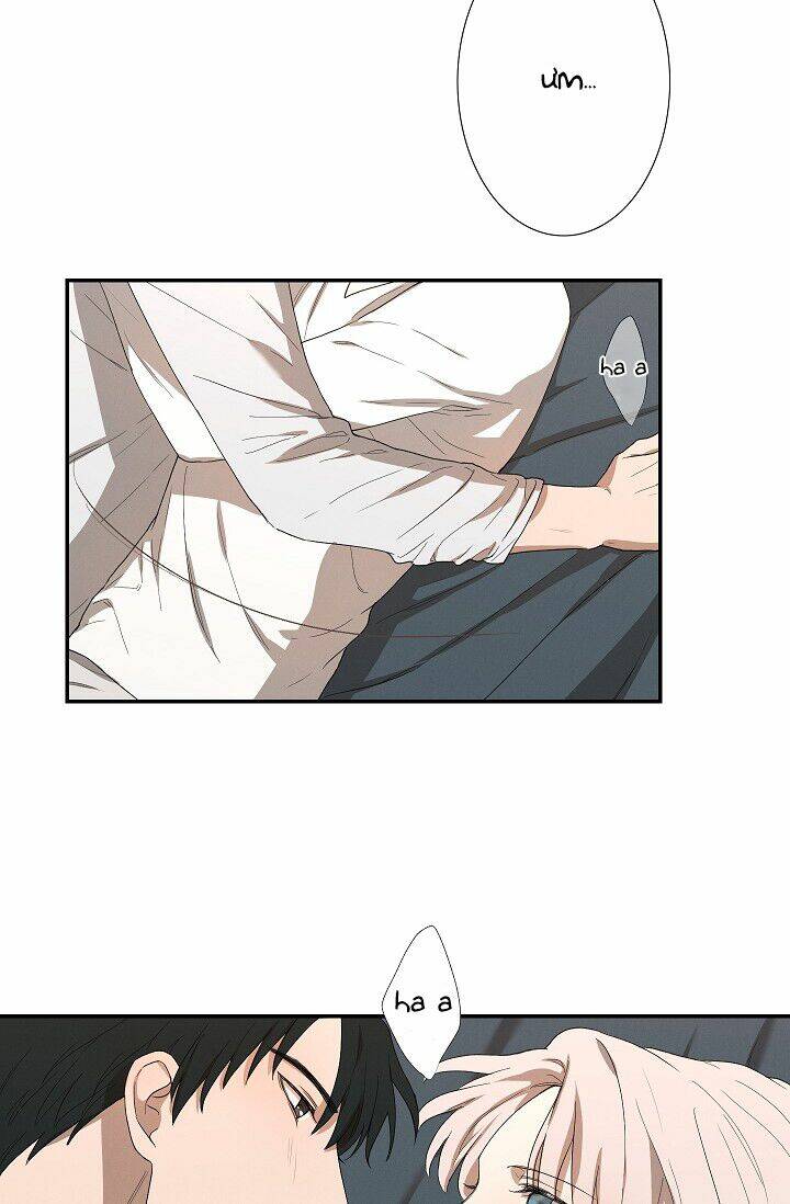 trốn tìm chapter 30 33