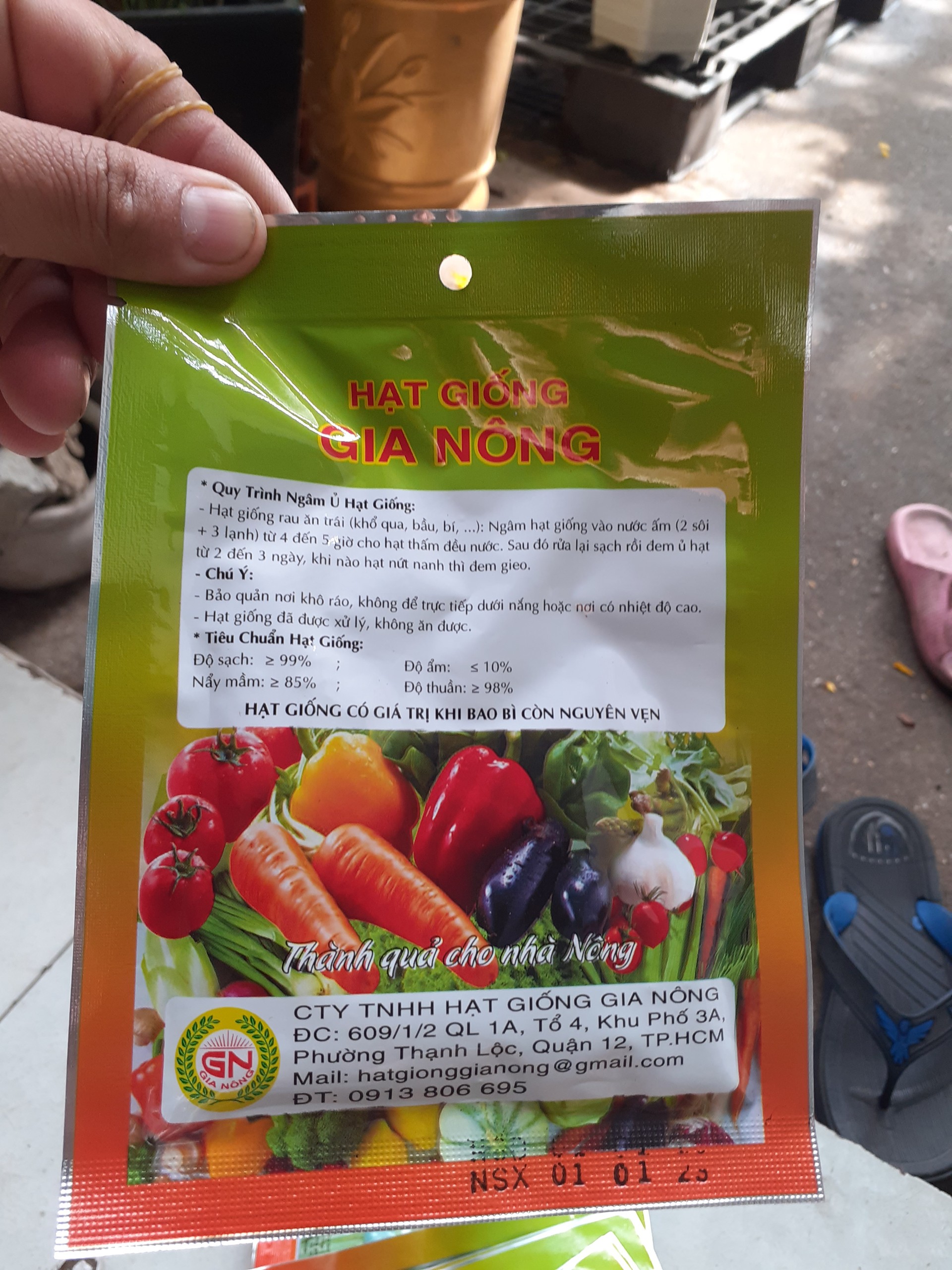 Combo 10 gói hạt giống RAU MẦM CỦ CẢI LỚN