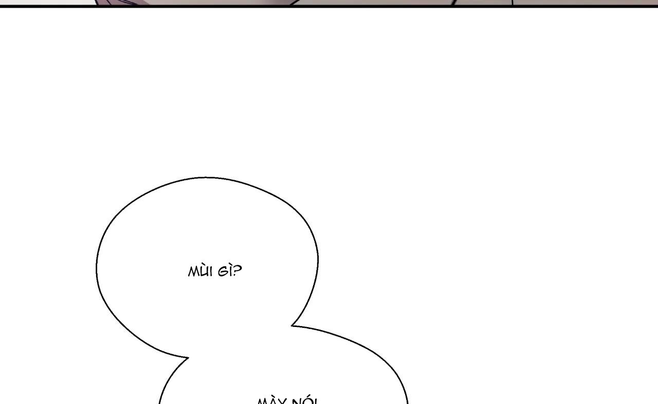 ám ảnh pheromone chapter 25 28