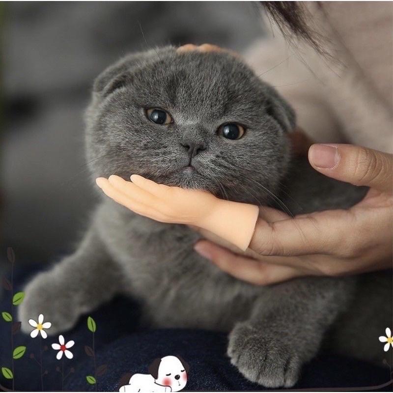 Đồ chơi bàn tay mini siêu độc đáo - Bàn tay tí hon đồ chơi bé, mát xa cho thú cưng cực vui