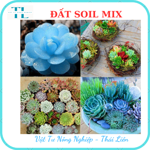 Đất Soil Mix chuyên trồng sen đá xương rồng kích rễ tăng trưởng, Đất chuyên dụng cho sen đá xứ nóng