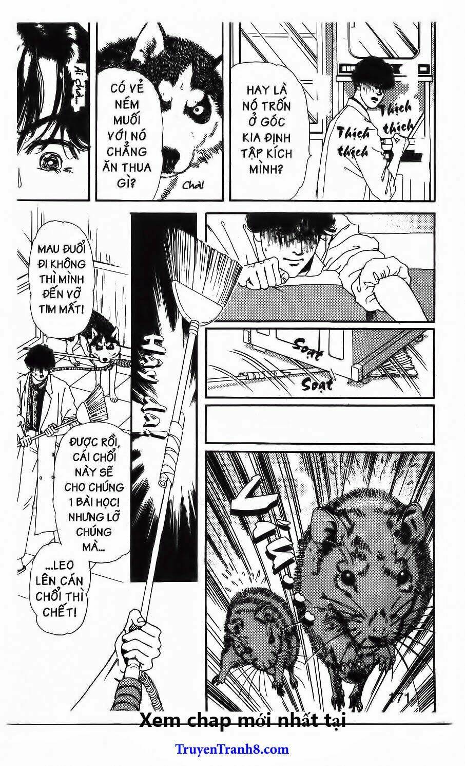 bác sĩ thú y chapter 80 19