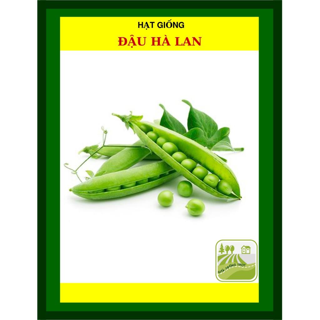 Hạt Giống Đậu Hà Lan 50 Gram Rạng Đông