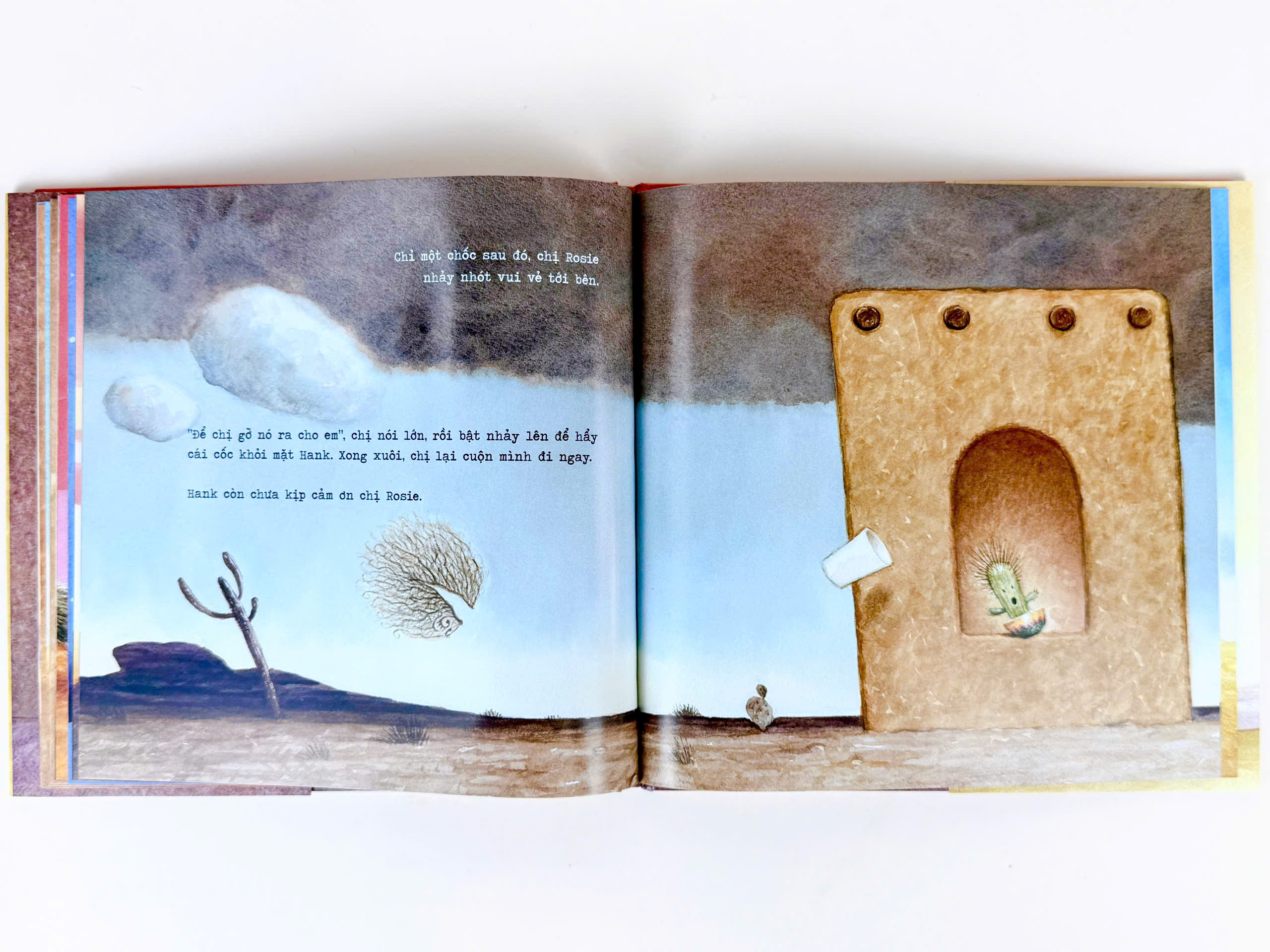 Sách - Xương rồng cũng cần lắm một cái ôm (truyện cho bé từ 3 tuổi+) - Bìa cứng