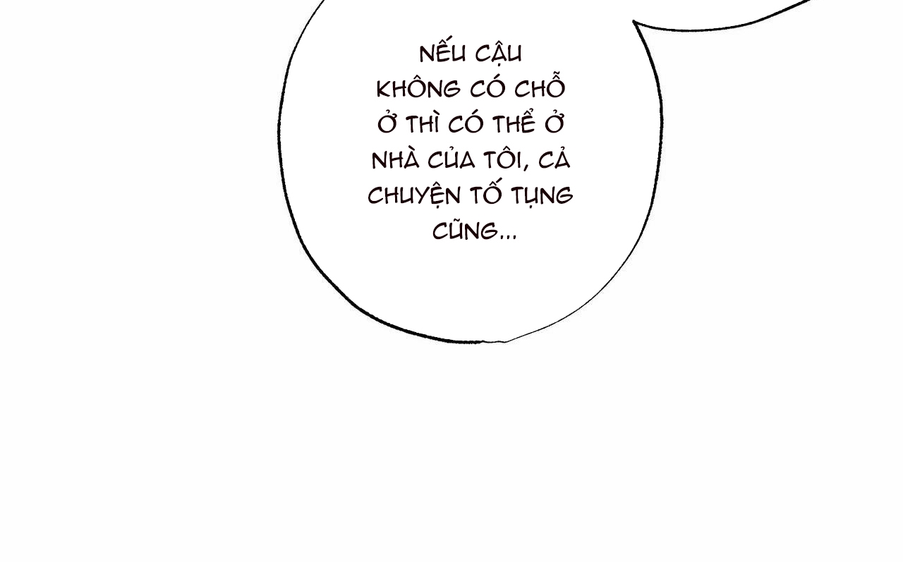 chàng giao pizza và gold palace chapter 22 10