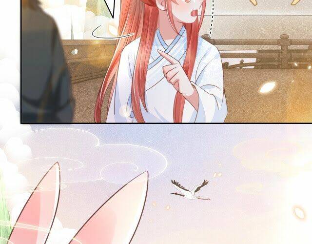 hắc hóa nam chính trực tuyến nuôi thỏ chapter 11 73