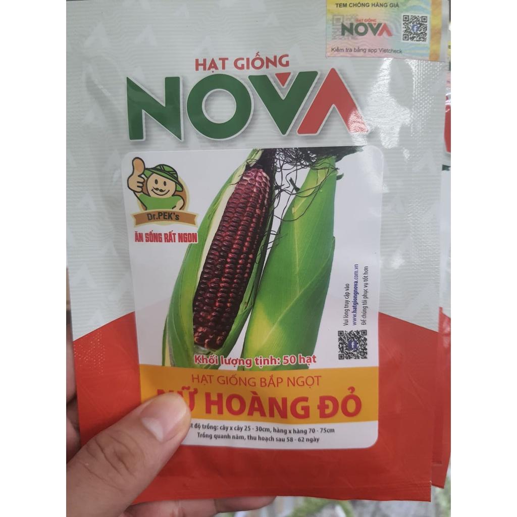 Hạt giống bắp nữ hoàng đỏ