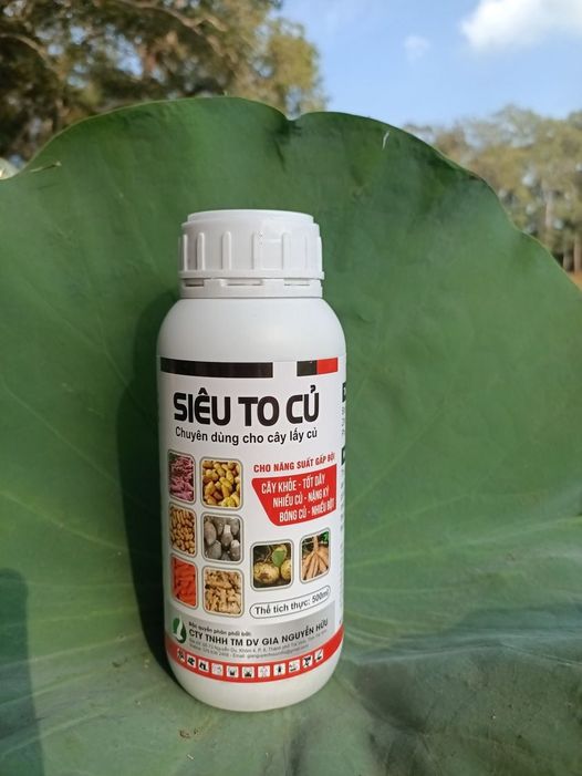 SIÊU TO CỦ CHAI 500ML - Giúp tăng kích thước củ, giúp củ to, phì củ, nặng ký, chắc vỏ, không thối củ