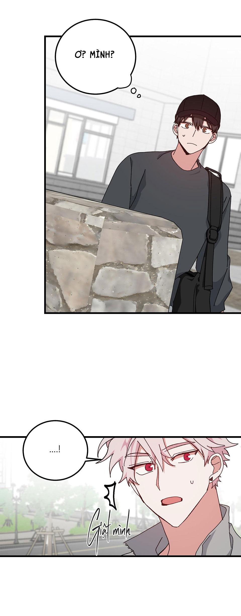 yêu tôi đi, thần hộ mệnh chapter 38 28