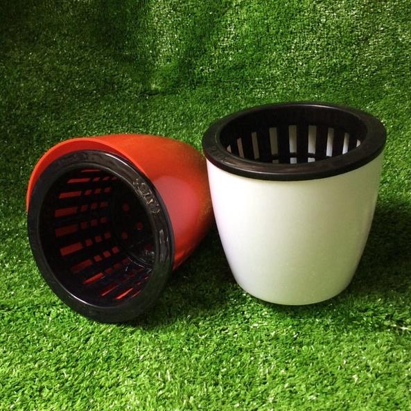 Combo Bộ Chậu Tự Dưỡng, Trồng Cây Thủy Sinh