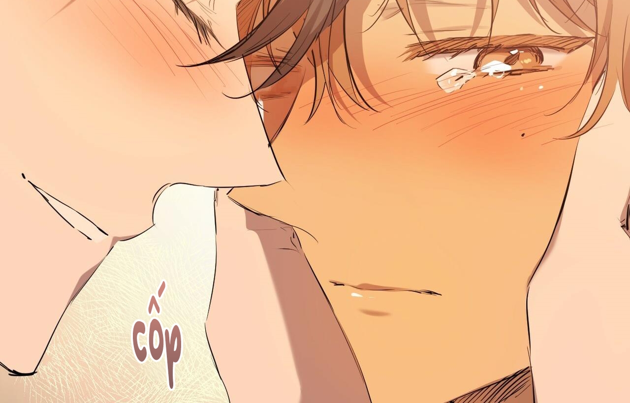 đàn thỏ của habibi chapter 26 209