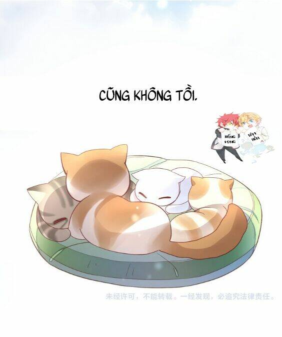 miêu trảo chi hạ chapter 1 49