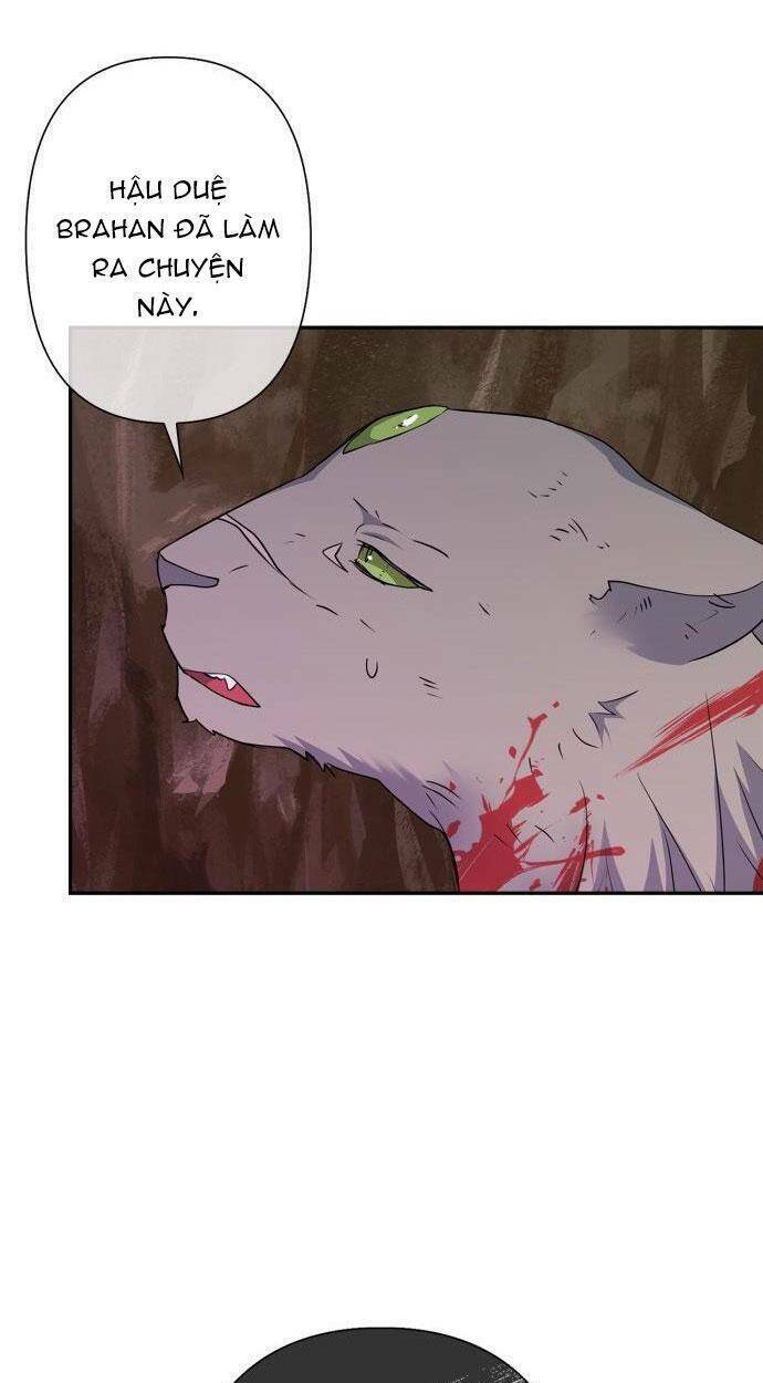 tôi đang nuôi dưỡng một con quái thú chapter 76 24