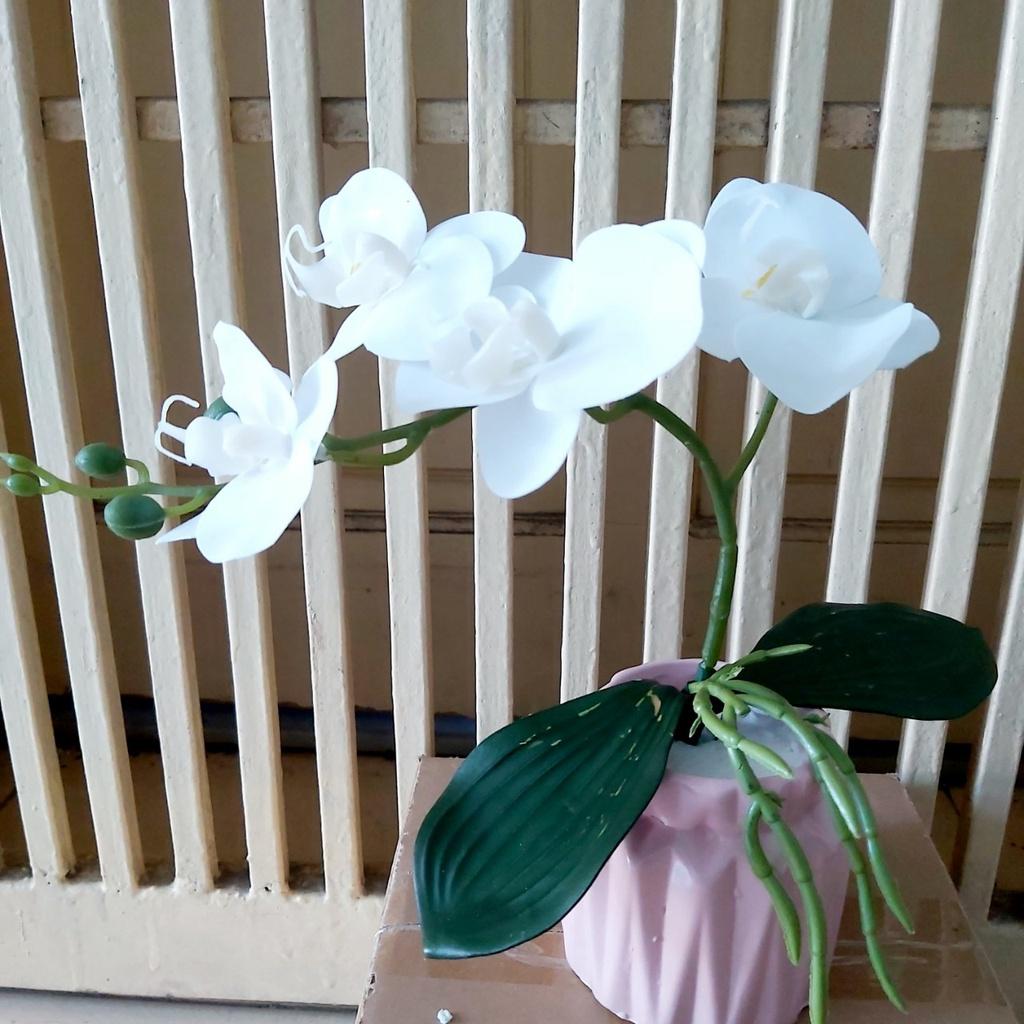 Hoa giả, chậu hoa lan hồ điệp mini để bàn trang trí nội thất đẹp tự nhiên LHD-04