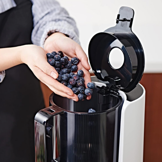 Máy Ép Chậm Hurom H200 - Hàng chính hãng