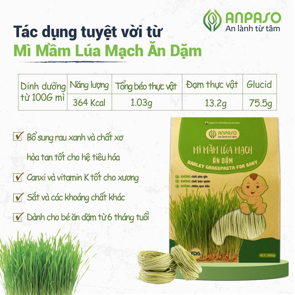 Combo 2 gói Mì rau củ mầm lúa mạch Ăn dặm hữu cơ Anpaso, eat clean, mỳ chay, ăn kiêng, thực dưỡng 600gr