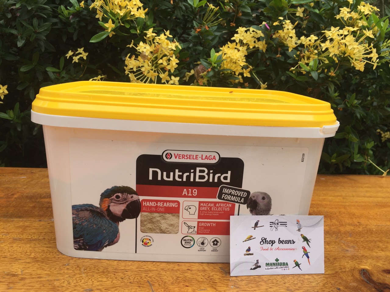 Bột A21, A19 Nutri Bird dinh dưỡng cho chim non có tặng kèm ống bơm bột