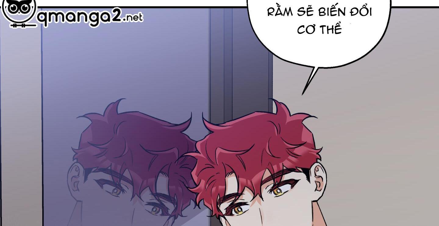 gâu gâu! chapter 53 127