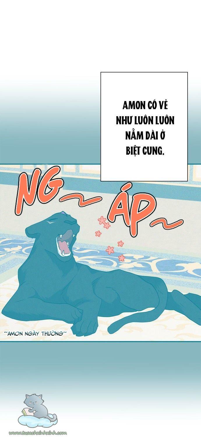 tôi đang nuôi dưỡng một con quái thú chapter 64 25