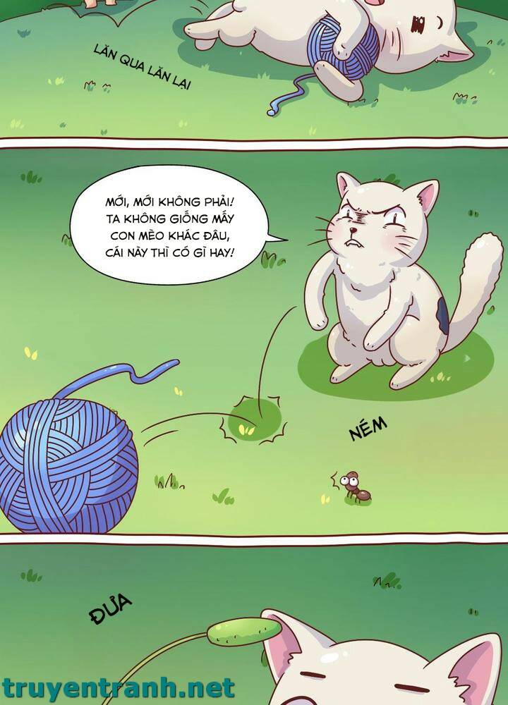 cây nấm kì khả chapter 7 9