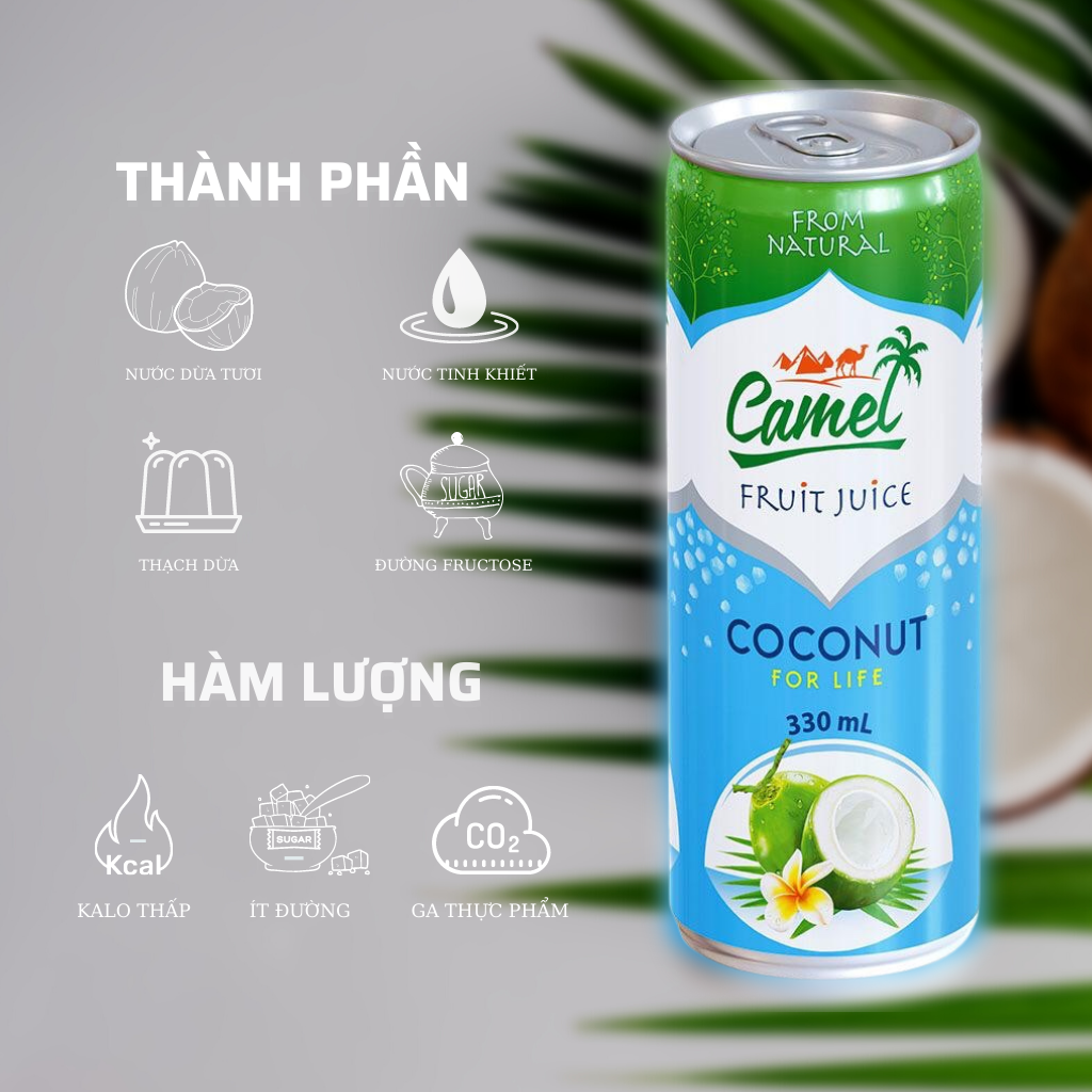 Nước dừa Camel thùng 24 Lon x 330ml