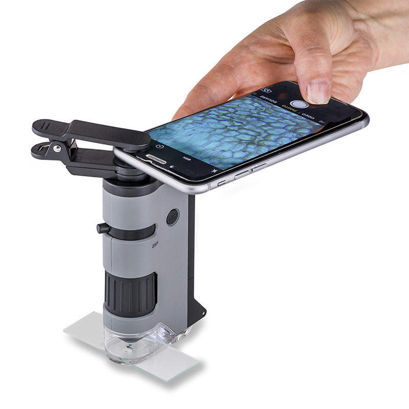 Kính Hiển Vi Bỏ Túi Carson MicroFlip MP-250 - Hàng Nhập Khẩu