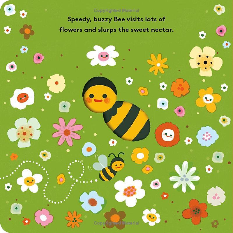 Sách ngoại văn: Little Life Cycles - Bee