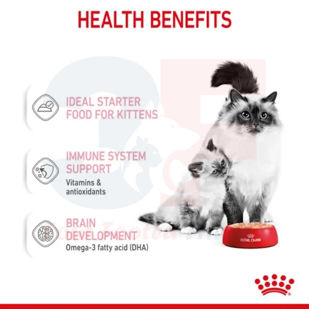 Pate Thức Ăn Ướt Royal Canin Mother &amp; Babycat Dành Cho Mèo Mẹ Mang Thai Và Mèo Đang Cho Bú, Mèo Con Dưới 2 Tháng Tuổi - Lon 195gr