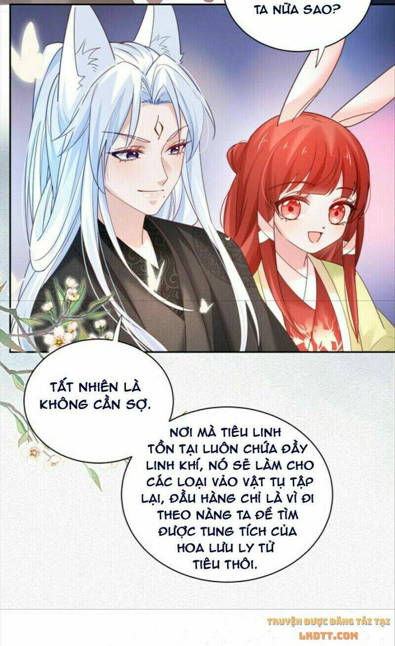 hắc hóa nam chính trực tuyến nuôi thỏ chapter 51 20