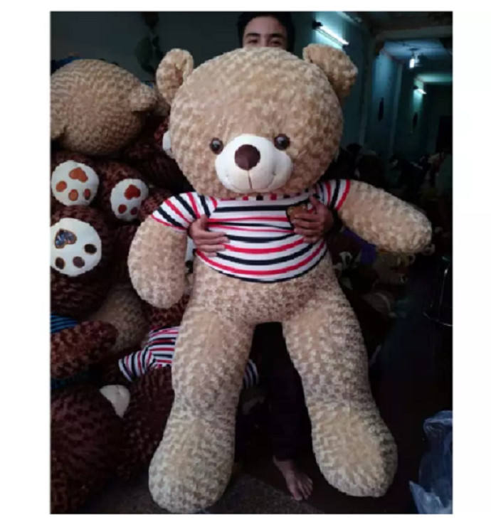 thú bông teddy 40cm đến 100cm