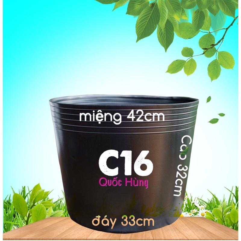 Combo 10 chậu trồng cây,trồng hoa,trồng rau C16 giá tại xưởng
