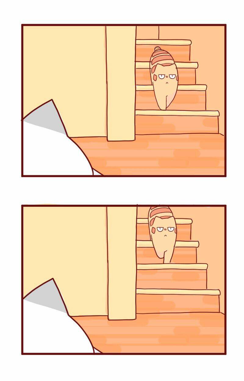 saphie: chú mèo một mắt chapter 10 11