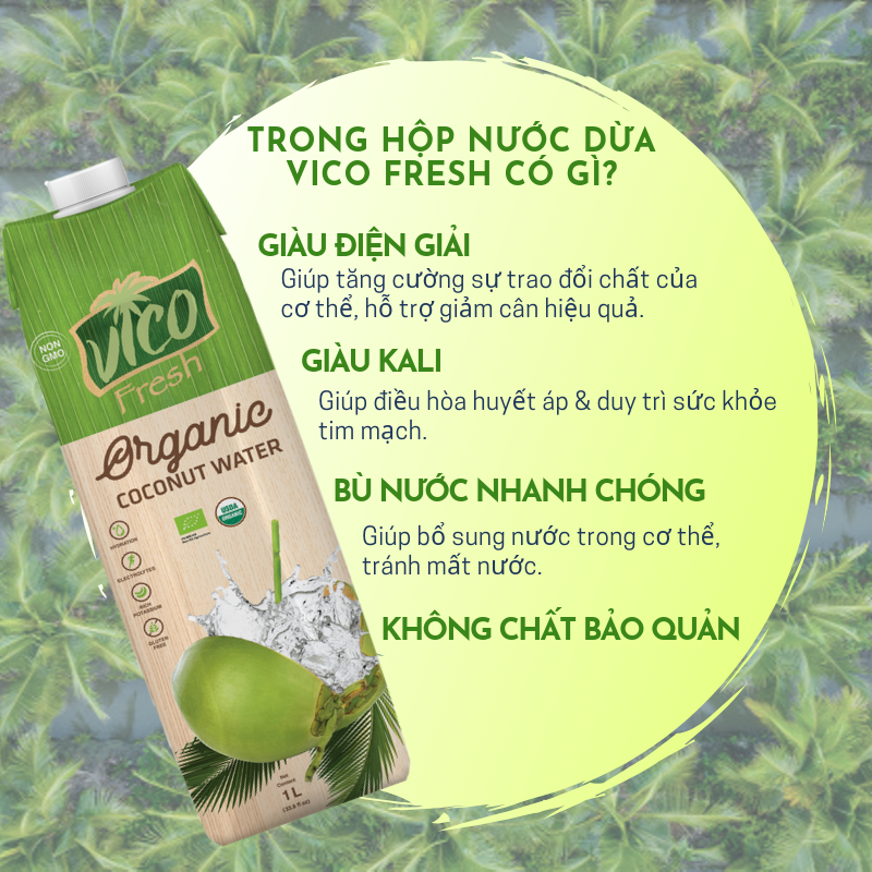 2 HỘP NƯỚC DỪA VICO FRESH 1L
