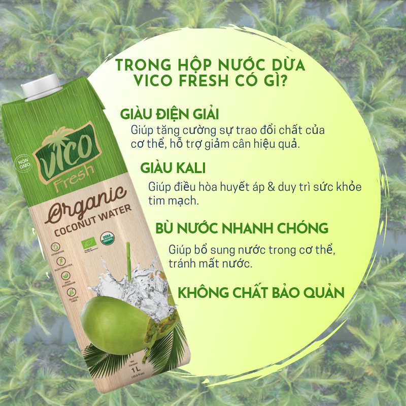 2 HỘP NƯỚC DỪA VICO FRESH 1L (1 XIÊM, 1 NATURAL)