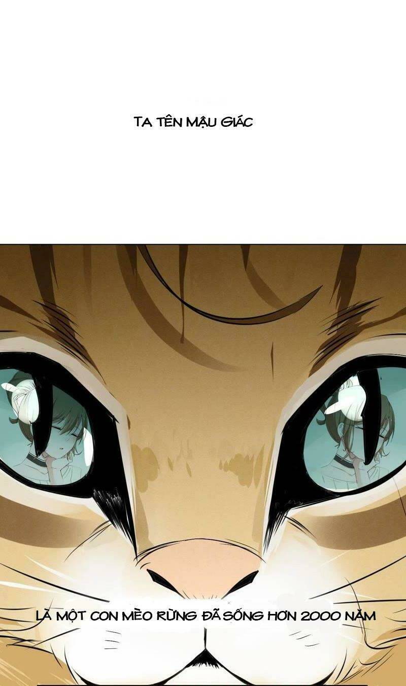 thập nhị hắc miêu chapter 1 3