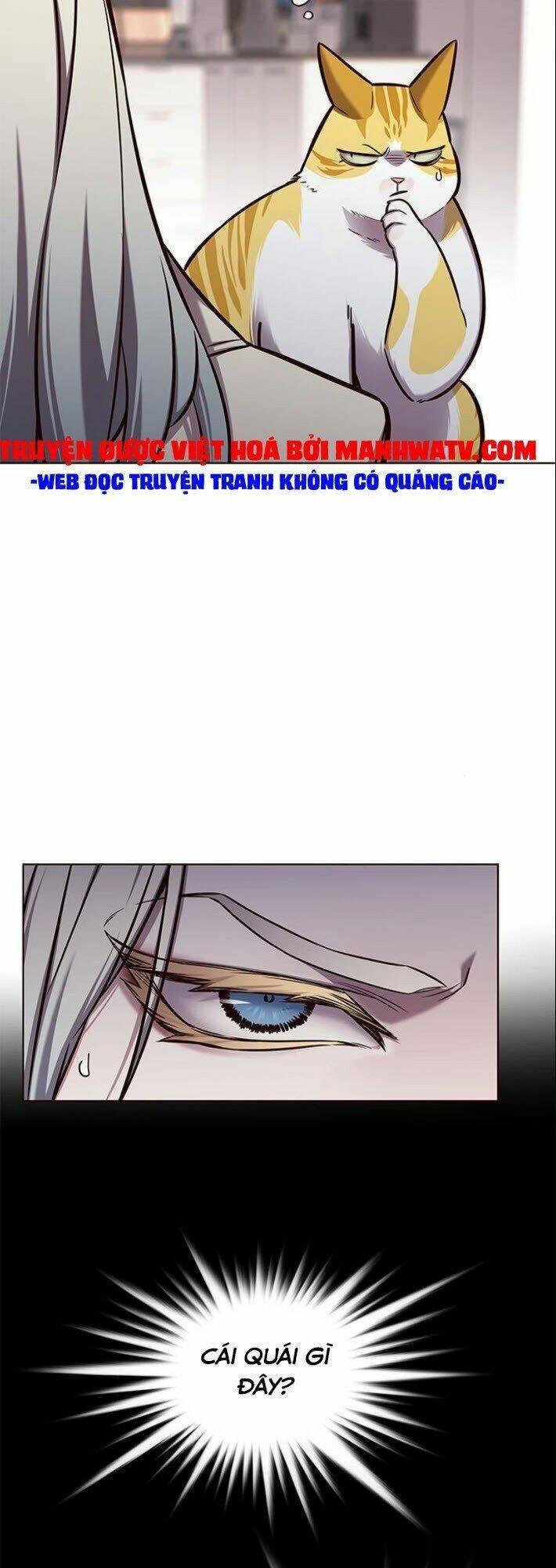 biến thân thành mèo chapter 139 9