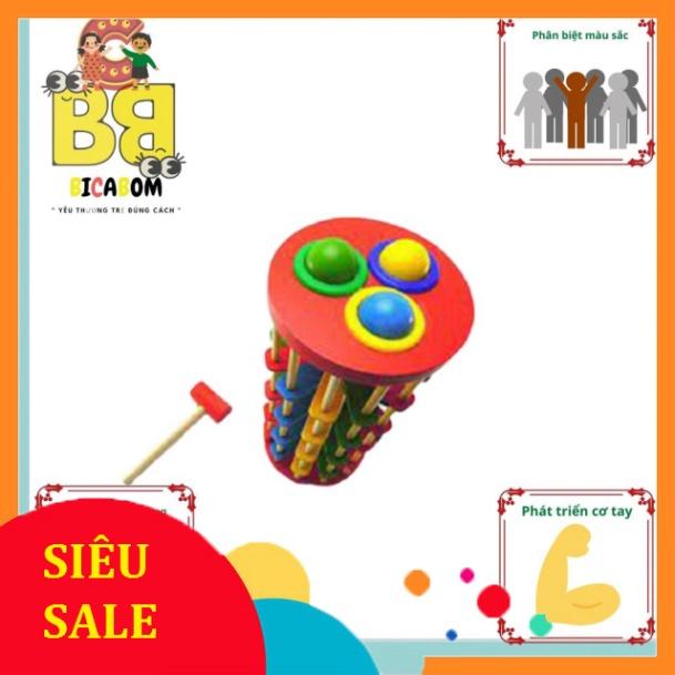 Đồ chơi giáo dục sớm cho bé bằng gỗ đập bi lốc xoáy Bc18