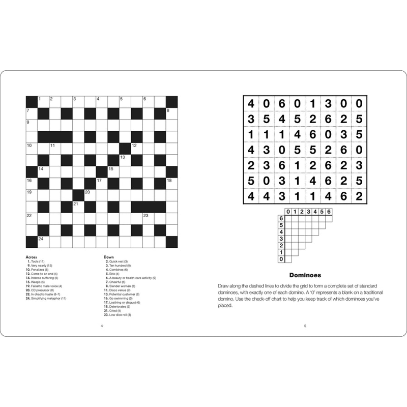 Sách Large Print Puzzle Book - Brain Training