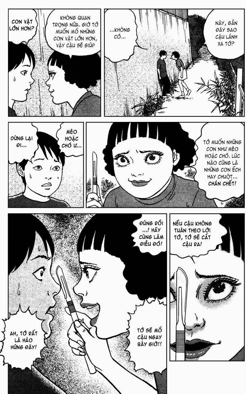 the shard of evil chapter 5 13