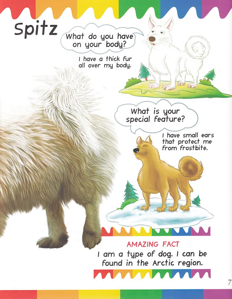 My First Questions &amp; Answers - Dogs