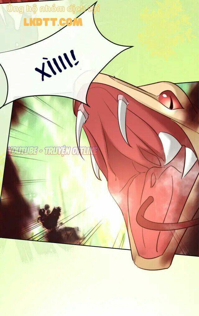 hắc hóa nam chính trực tuyến nuôi thỏ chapter 30 14