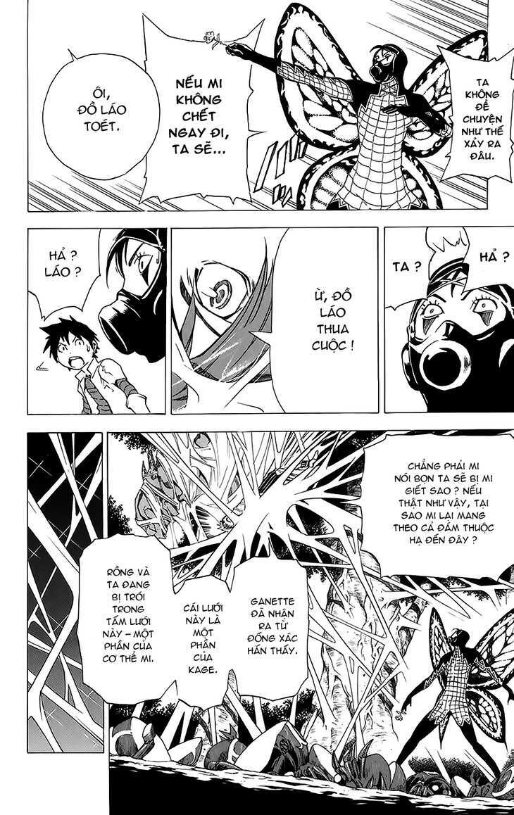 rồng xanh grado chapter 19 10