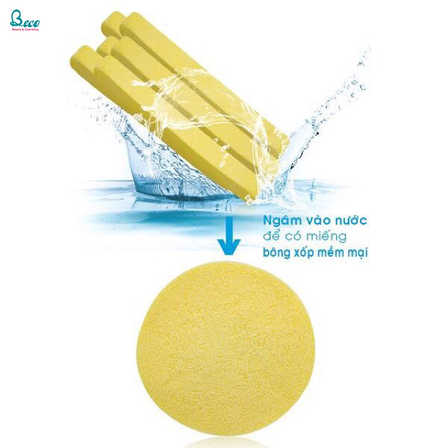 Bộ sản phẩm cốc nguyệt san Lincup+
