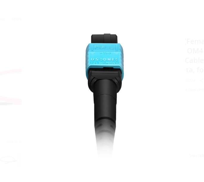 Dây nhảy quang MTP to MTP Female, OM4, 16 Fibers Elite Trunk Cable sample - Xmethod Network - Hàng chính hãng