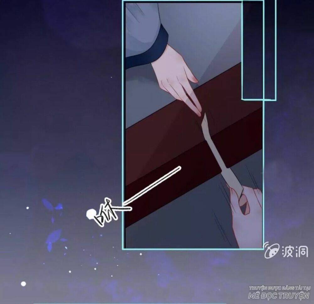 sủng phi của vương chapter 49 11