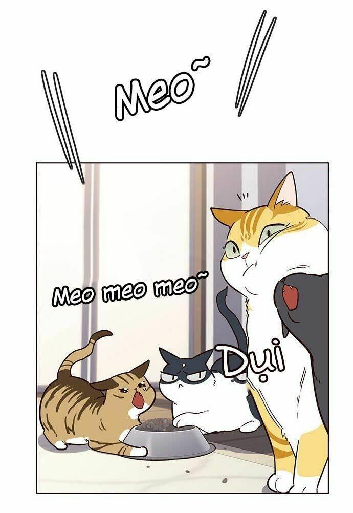 biến thân thành mèo chapter 9 38